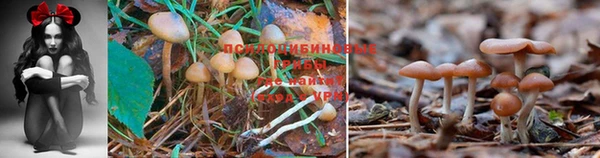 мдма Нязепетровск