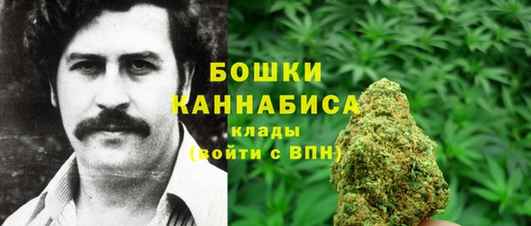 прущие крисы Няндома