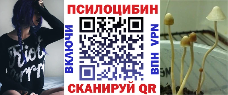 Псилоцибиновые грибы мицелий  Купить где  Йошкар-Ола 