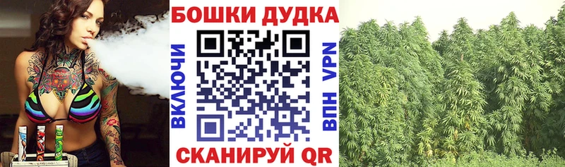 Купить закладки  Йошкар-Ола  Конопля Amnesia 